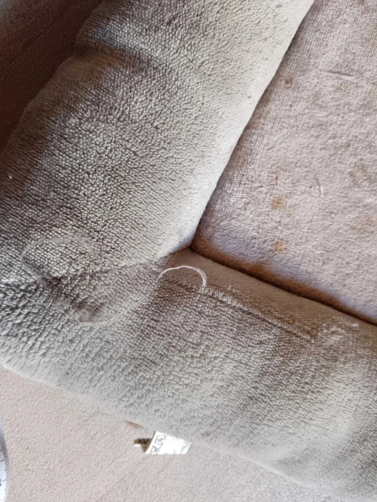 Cesta para gato – photo 3